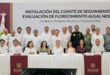 Yucatán activa vigilancia contra la marea roja para proteger salud y actividad pesquera