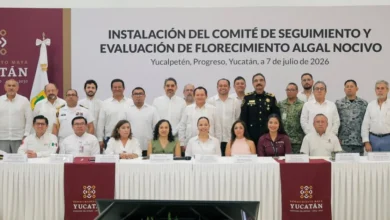 Yucatán activa vigilancia contra la marea roja para proteger salud y actividad pesquera