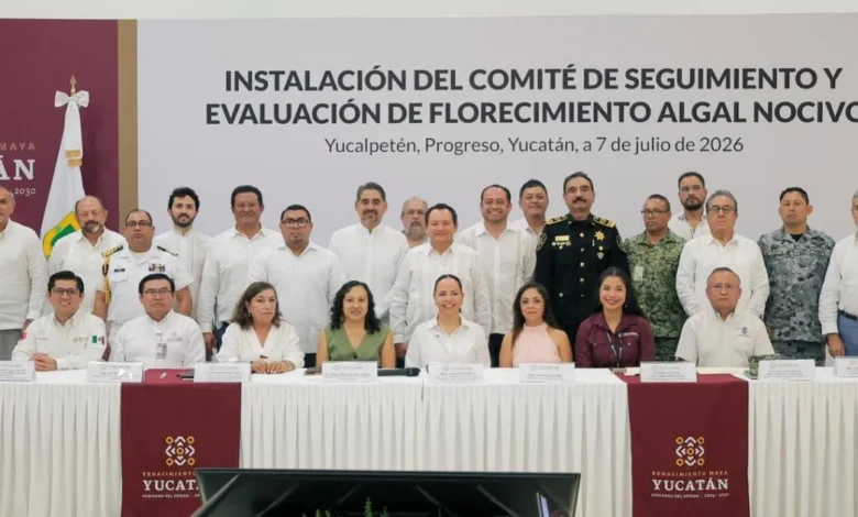 Yucatán activa vigilancia contra la marea roja para proteger salud y actividad pesquera