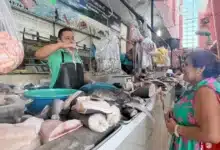 vacaciones de verano impulsan hasta 20% las ventas de mariscos en mérida