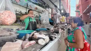 vacaciones de verano impulsan hasta 20% las ventas de mariscos en mérida