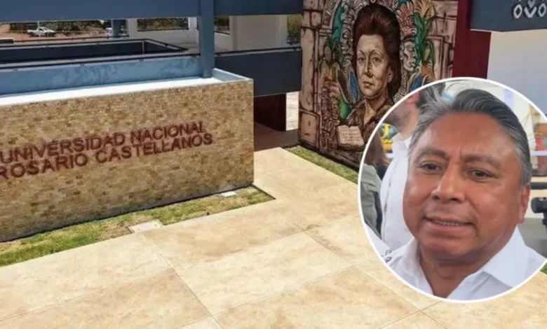 yucatán acelera su consolidación como polo educativo con nuevas universidades y carreras tecnológicas