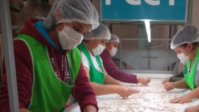 yucatán sube cuatro lugares en evaluación del imco sobre igualdad para las mujeres