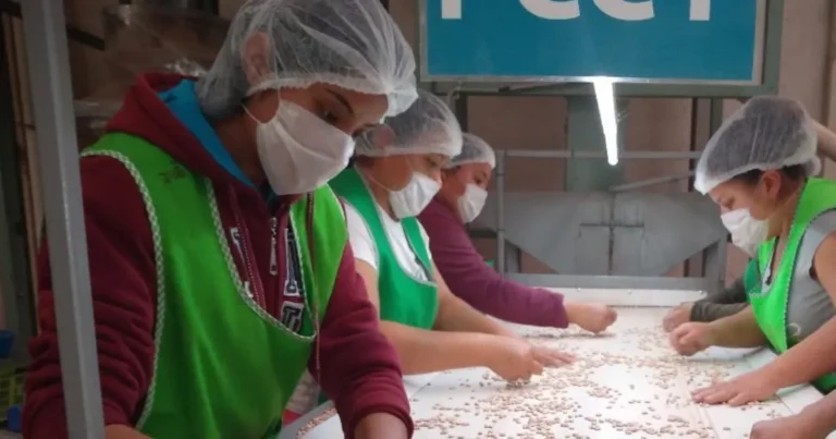 yucatán sube cuatro lugares en evaluación del imco sobre igualdad para las mujeres