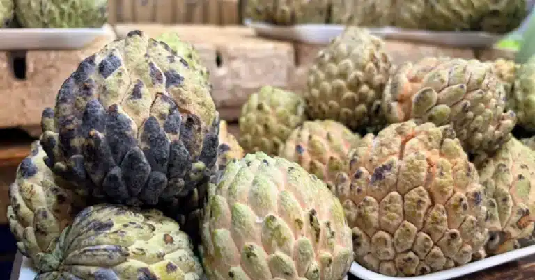 zaramuyo el tesoro del verano en los mercados de yucatán