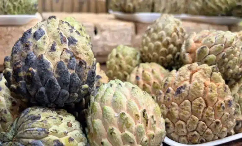 zaramuyo el tesoro del verano en los mercados de yucatán
