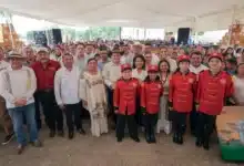 buscan blindar la miel de melipona contra imitaciones