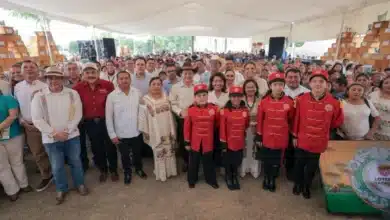 buscan blindar la miel de melipona contra imitaciones