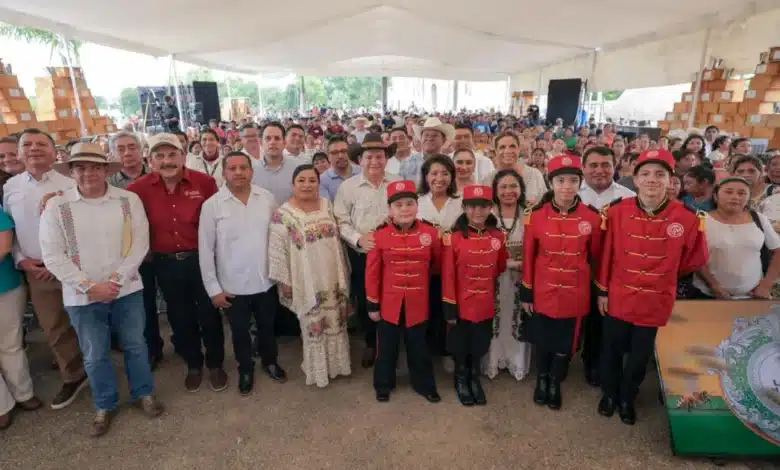 buscan blindar la miel de melipona contra imitaciones