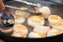 callo de hacha, el tesoro del mar que conquista la gastronomía mexicana