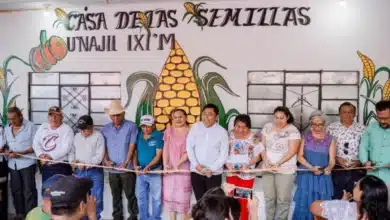 casa de las semillas protege cultivos mayas en yucatán