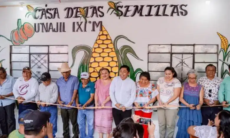 casa de las semillas protege cultivos mayas en yucatán