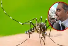 casos de dengue en yucatán caen 83% durante 2026