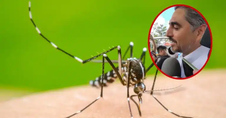 casos de dengue en yucatán caen 83% durante 2026