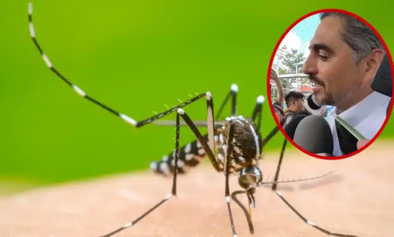 casos de dengue en yucatán caen 83% durante 2026