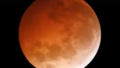 eclipse lunar parcial podrá verse este jueves en yucatán