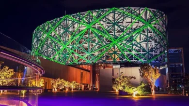 Gran Museo del Mundo Maya en Yucatán es un espectacular árbol de ceiba (Foto de Gran Museo del Mundo Maya de Mérida)