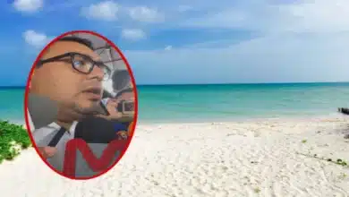 Marea roja en Yucatán: descartan riesgo tras monitoreos en toda la costa (Foto de Iridiany Martin)