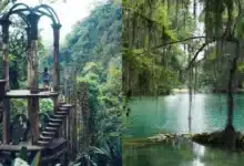 Xilitla te hace viajar a otro mundo ¿Cómo llegar? (Fotos de internet y Unsplash)