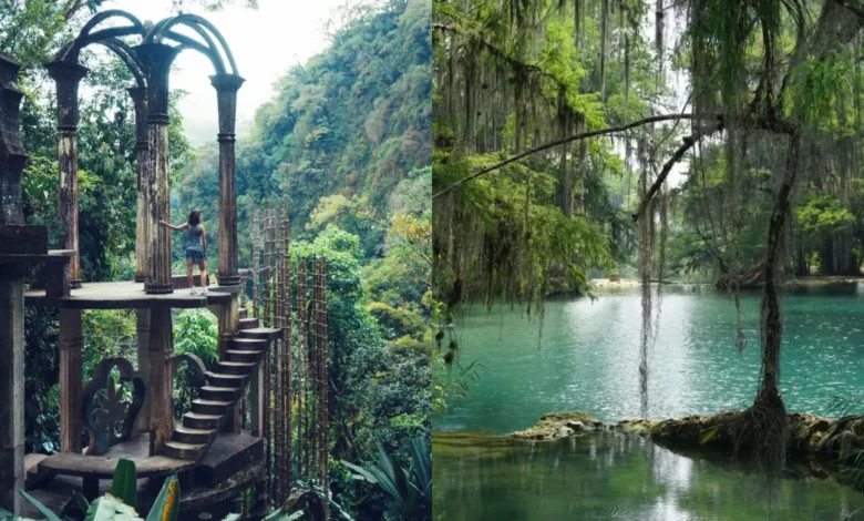 Xilitla te hace viajar a otro mundo ¿Cómo llegar? (Fotos de internet y Unsplash)