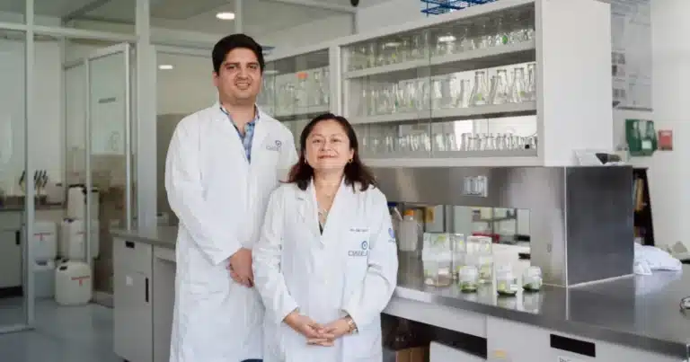 Yucatán será sede del Primer Congreso Internacional BIO-MAS 2026 (Foto de cortesía)