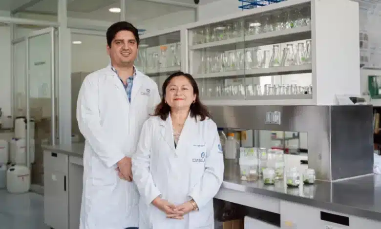 Yucatán será sede del Primer Congreso Internacional BIO-MAS 2026 (Foto de cortesía)