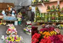 Un reto para las florerías de Mérida (Foto de Darcet Salazar)