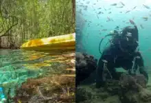 Nuevo atractivo turístico de Sisal (Foto de internet)