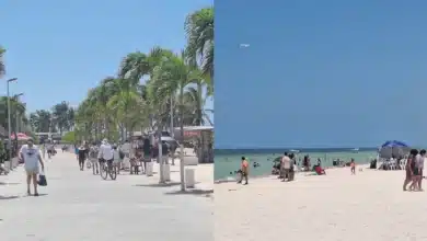 Progreso durante el penúltimo fin de semana de vacaciones (Foto de Darcet Salazar)