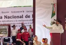 Día Nacional de las Abejas en Maní (Foto de Darcet Salazar)