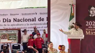 Día Nacional de las Abejas en Maní (Foto de Darcet Salazar)