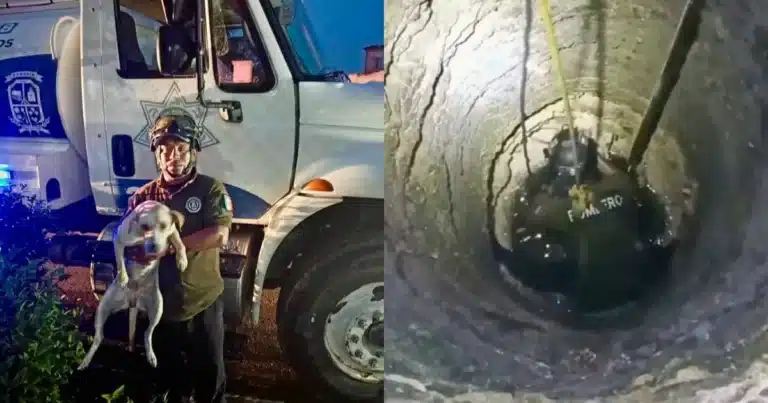 Rescatan a “Perla” tras caer a un pozo de ocho metros en Kanasín (Fotos de cortesía)