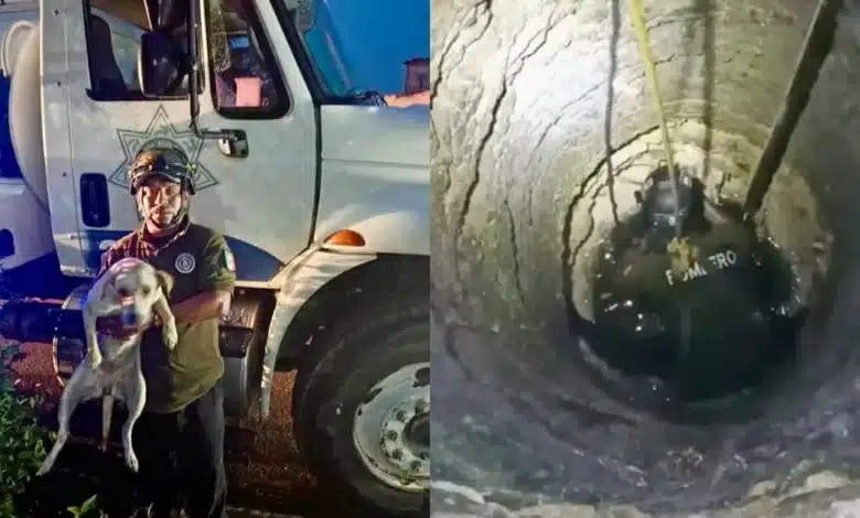 Rescatan a “Perla” tras caer a un pozo de ocho metros en Kanasín (Fotos de cortesía)