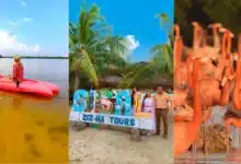 Sisal espera más de 15 mil visitantes (Foto de cortesía)