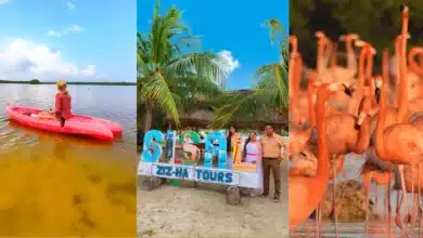 Sisal espera más de 15 mil visitantes (Foto de cortesía)