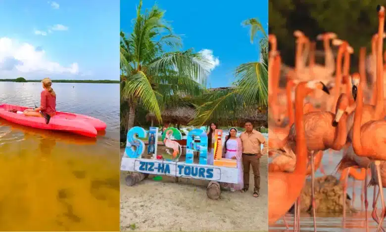 Sisal espera más de 15 mil visitantes (Foto de cortesía)