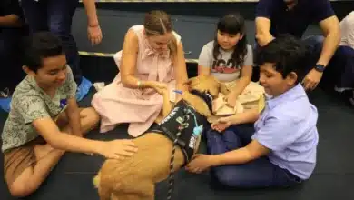 Mérida fortalece atención al autismo con terapia asistida por perros rescatados (Foto de cortesía)