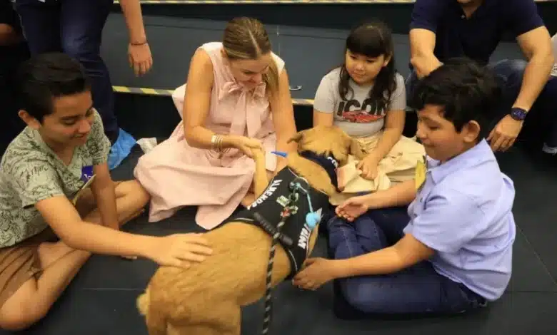 Mérida fortalece atención al autismo con terapia asistida por perros rescatados (Foto de cortesía)