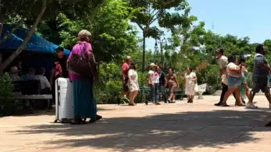 familias y turistas abarrotan el centro de mérida
