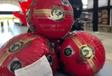 feria del queso de bola apuesta por una experiencia 100% familiar en la plancha