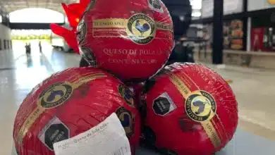 feria del queso de bola apuesta por una experiencia 100% familiar en la plancha