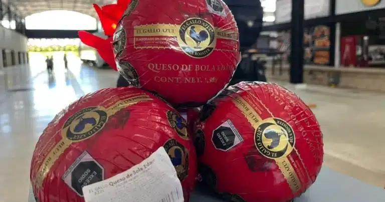 feria del queso de bola apuesta por una experiencia 100% familiar en la plancha
