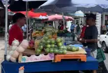 fruta bajo el sol el riesgo que aumenta con el calor en mérida