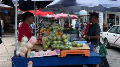 fruta bajo el sol el riesgo que aumenta con el calor en mérida