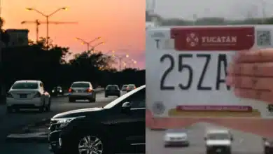 Hasta 60 mil vehículos permanecen pendientes de reemplacamiento en Yucatán