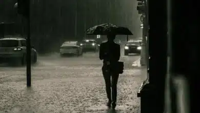 hasta cuatro ondas tropicales traerán lluvias y tormentas a yucatán esta semana