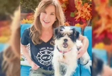 investigan refugio de perros de linda blair, estrella de el exorcista