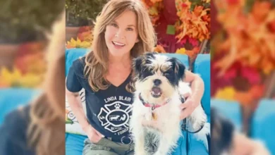 investigan refugio de perros de linda blair, estrella de el exorcista