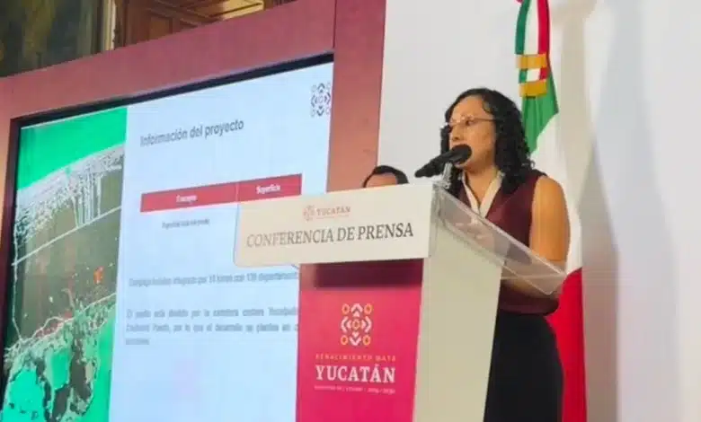 las dunas queda bajo revisión ambiental antes de definir su futuro en chuburná puerto