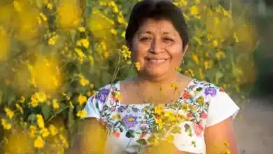 leydy pech, la apicultora maya que frenó a monsanto en méxico